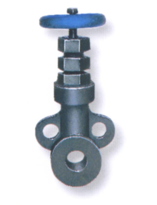 Wafer stainless steel gate valve with alloy steel seal